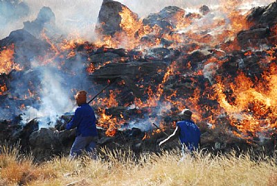 Grass Fire