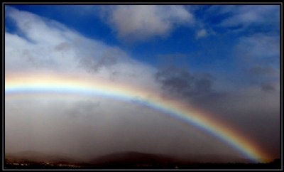 The Rainbow Bridge, A Tribute to William