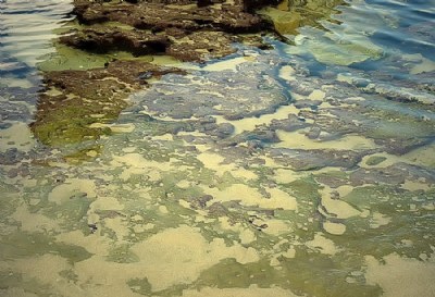 Sorrento 1