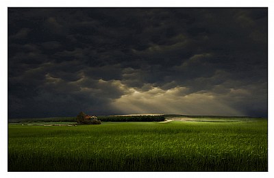 The green green grass