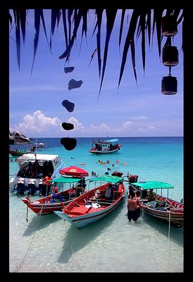 Coral Island