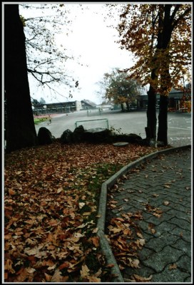 Which way to school?