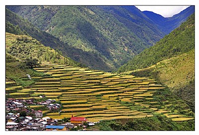 bay-yo rice terraces