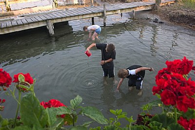 fishing for hermit crabs