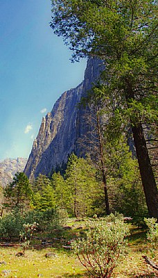 A quite moment in Yosemite