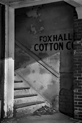 Foxhall Cotton Co.