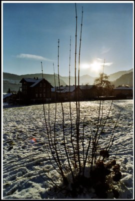 Looking at the sun