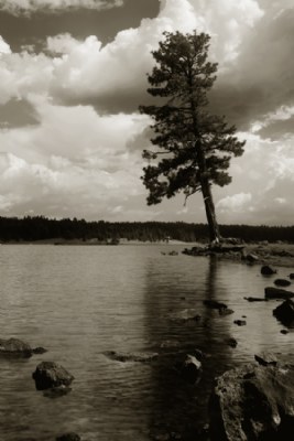 Hawley Lake #2