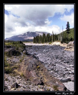 Mt. St. Helens Lahar