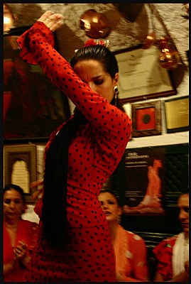 Flamenco night