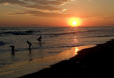 Seashells and Ocean Sounds