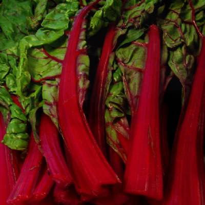 red swiss chard