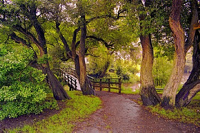 A Hint Of Autumn In The Park