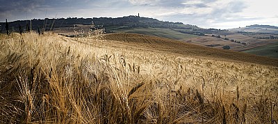 pienza