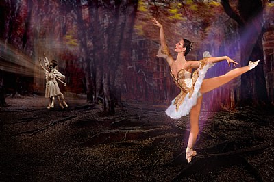 BALLET FAIRY  TALE