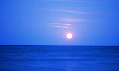 Blue Morning