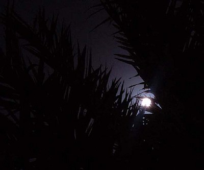 dark&moon