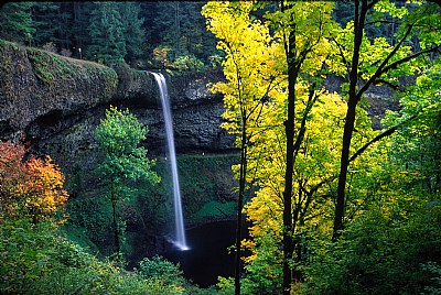 Silver Creek Falls Autumn