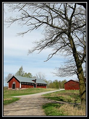 Swedish Farm