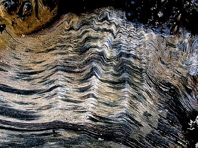 waves in wood