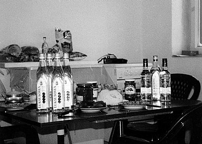 Polish party - 4 people = 7 vodka bottles