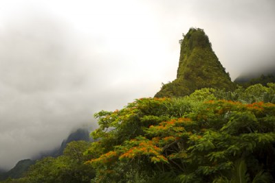 Iao Valley - Maui