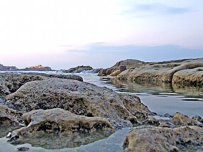 The Sea & Its Rocks