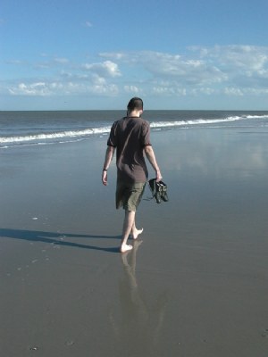 Alone on the beach