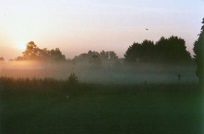 Misty Dawn