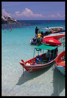 Coral Island (II)