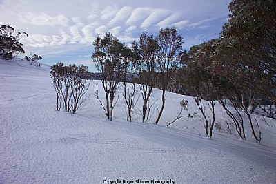 Near The Wall, Near the Basin T Bar 