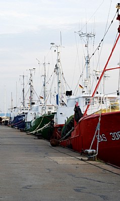 Fishing boats