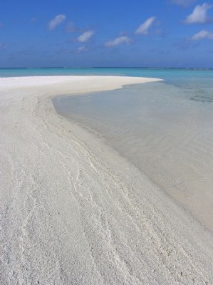 Maldivian Blues