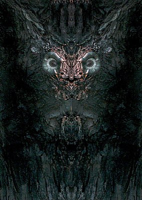 Fearfull Symmetry