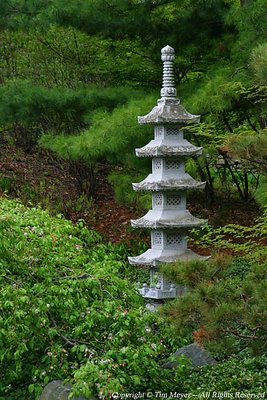 Japanese Garden