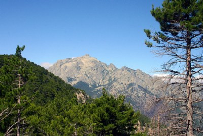 Monte d'Oro