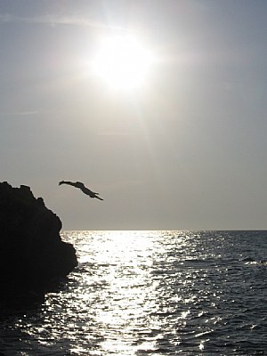 Un volo in salento