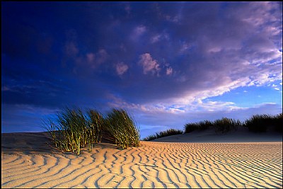 Formby Point