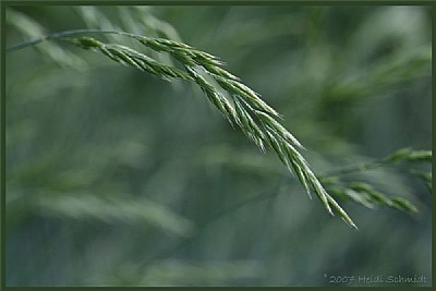 Blowing in the Wind...