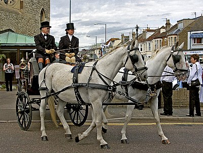 Bride's horse drawn carriage