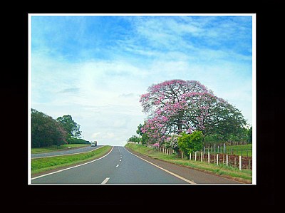 Rio Claro Highway