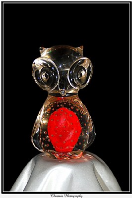 Glass Owl