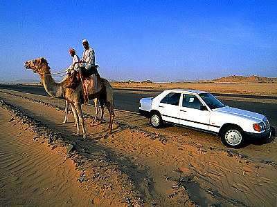 Car and camels