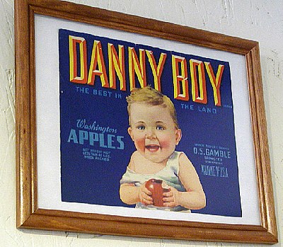 Danny Boy Apples