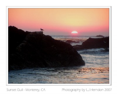 Sunset on Monterey Beach