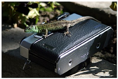 My camera and a friend of mine