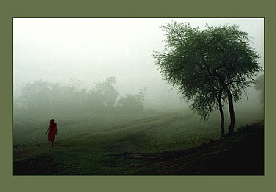 The Lady and the Mist