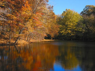 Autumn Scene