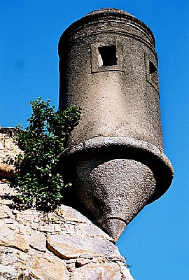 Tower of the fort