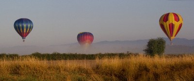 Balloons and Fog 2